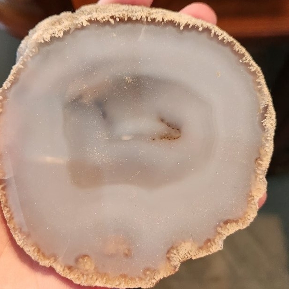 Natural Agate Slice Home Accent